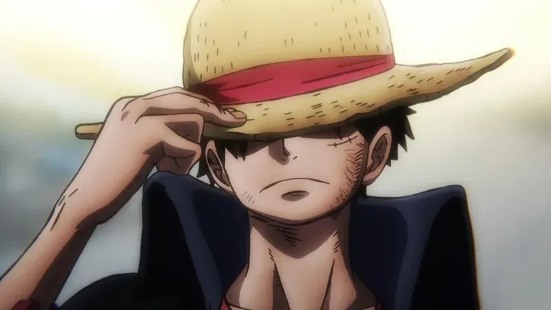  Luffy 27