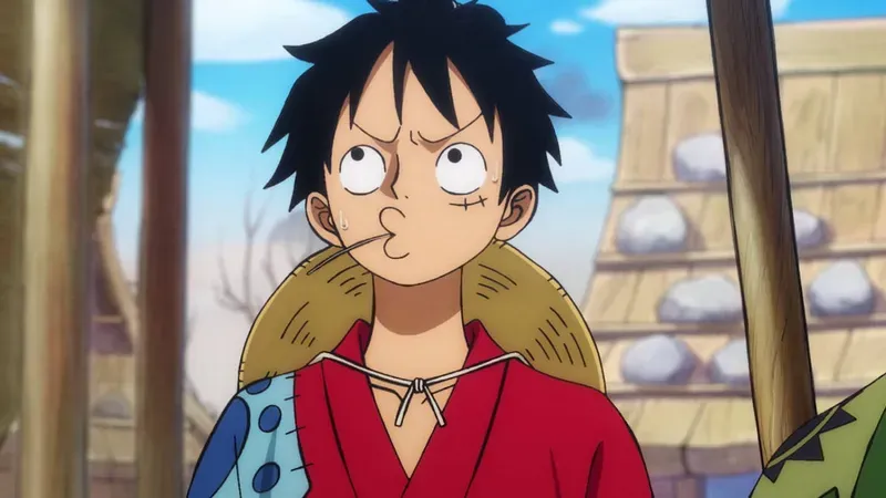  Luffy 30
