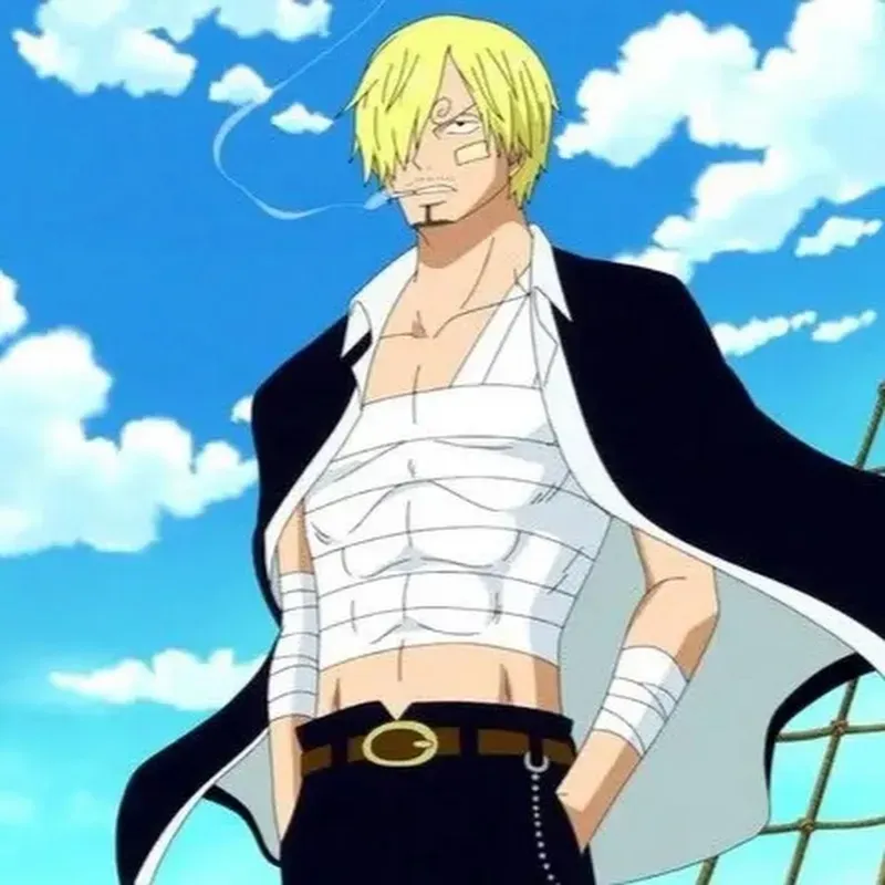 Hình ảnh Sanji siêu cute 13