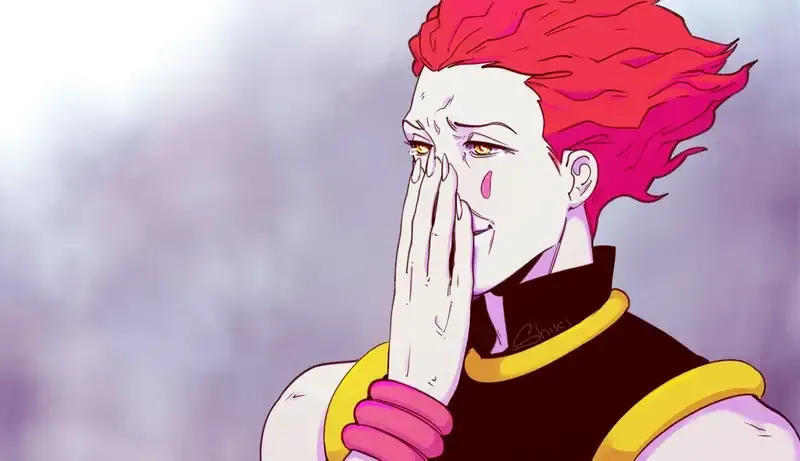 Hình ảnh Hisoka Morow 11
