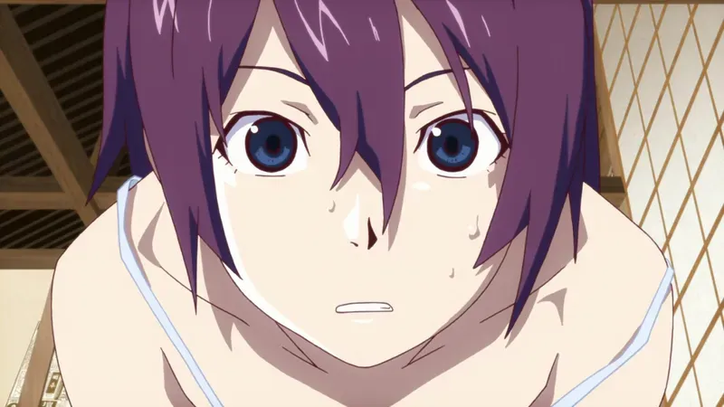 Senjougahara Hitagi 30