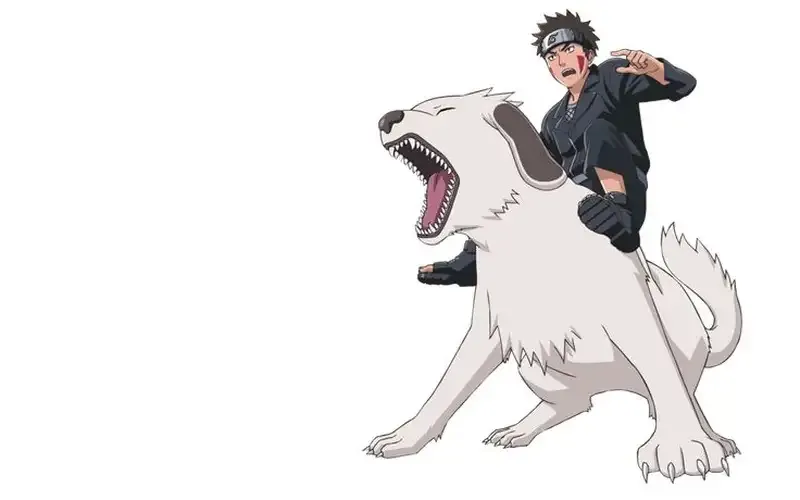 Hình ảnh Kiba Inuzuka ngầu độc đáo 29