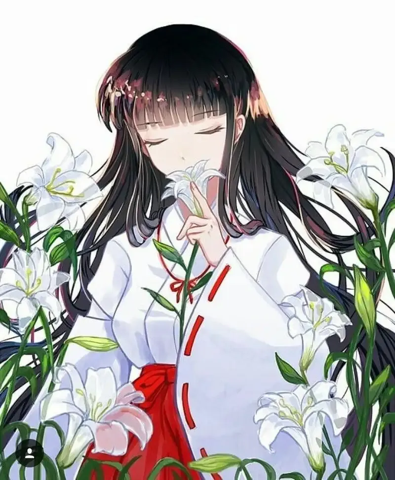 Hình ảnh Kikyo 18