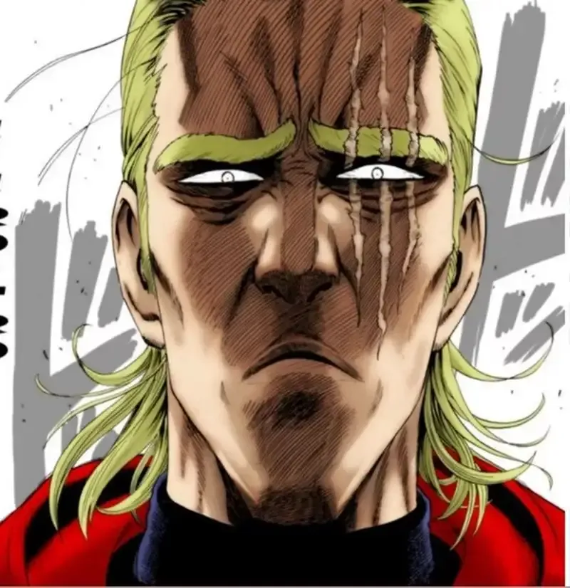 ảnh King (One Punch Man) 15