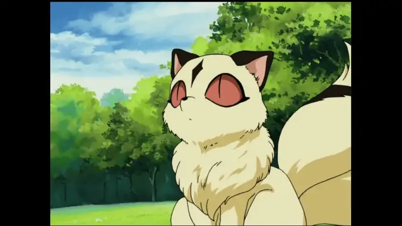 Ảnh Kirara 2