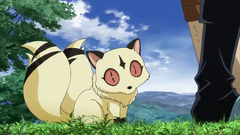 Ảnh Kirara 9