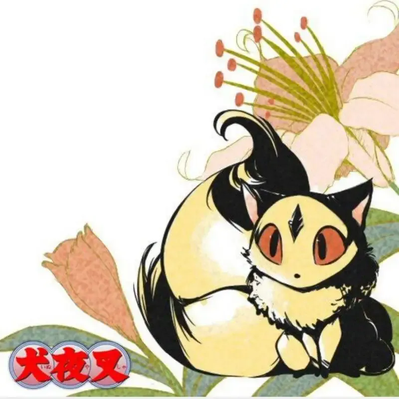 Ảnh Kirara 10