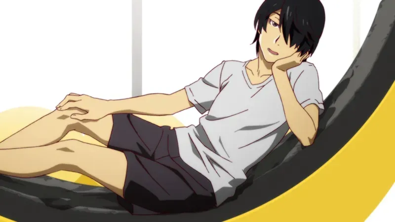 Koyomi Araragi 9
