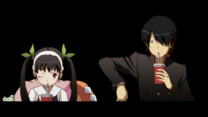 Koyomi Araragi 11