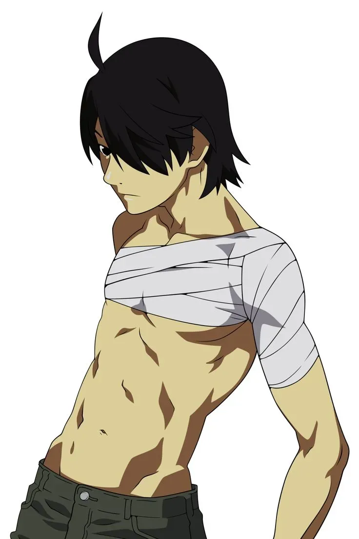 Koyomi Araragi 12