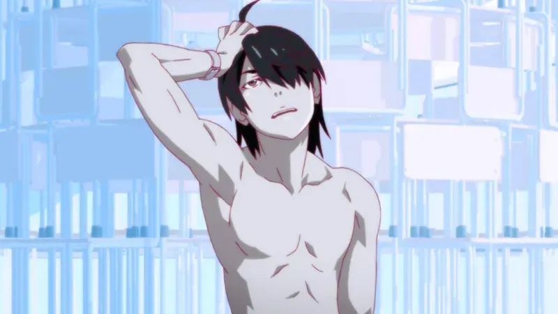 Koyomi Araragi 35