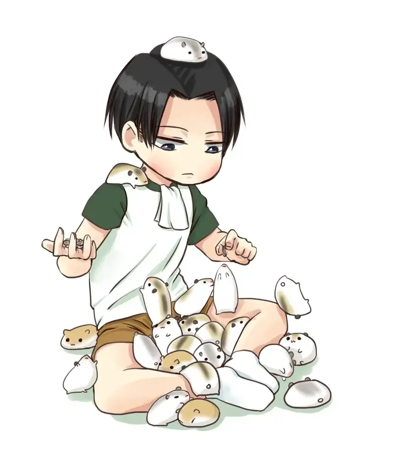 Ảnh Levi Ackerman chibi 9