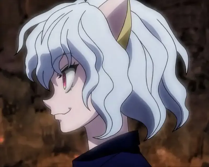 Ảnh Neferpitou 4