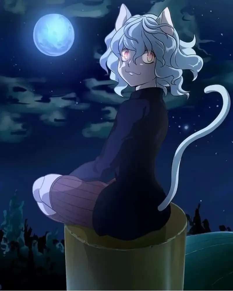 Ảnh Neferpitou 5