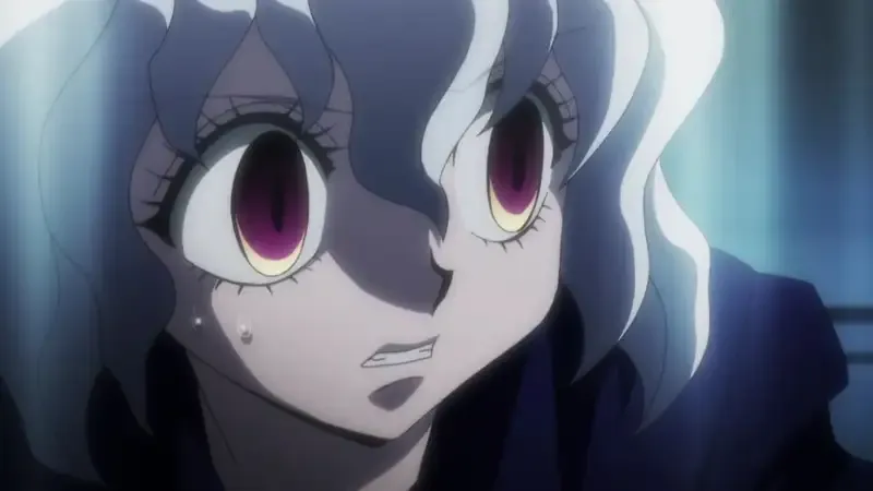 Ảnh Neferpitou 11