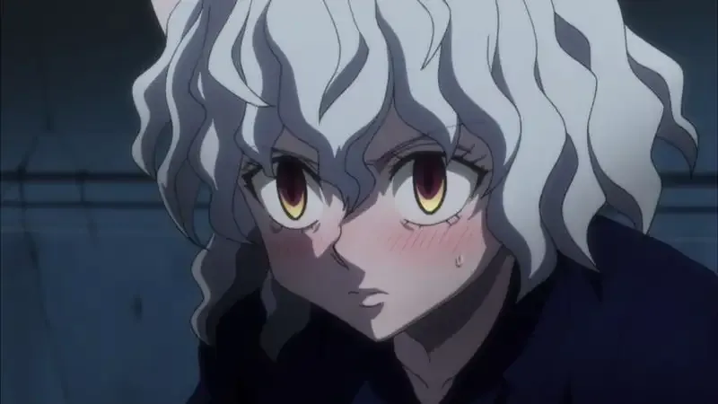 Ảnh Neferpitou 12