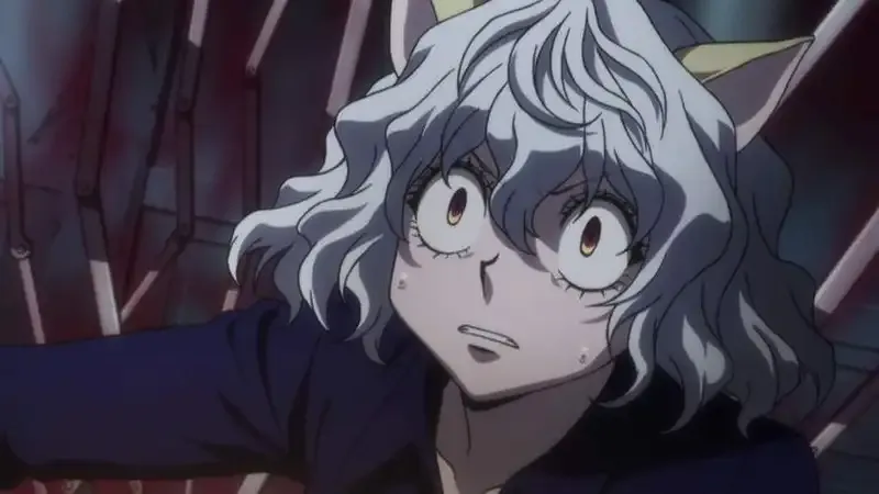 Ảnh Neferpitou 13