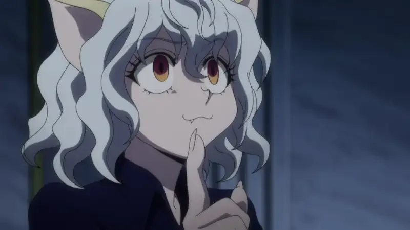 Ảnh Neferpitou 17