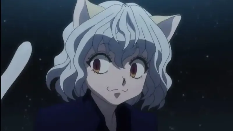Ảnh Neferpitou 21
