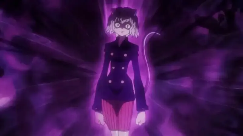 Ảnh Neferpitou 22