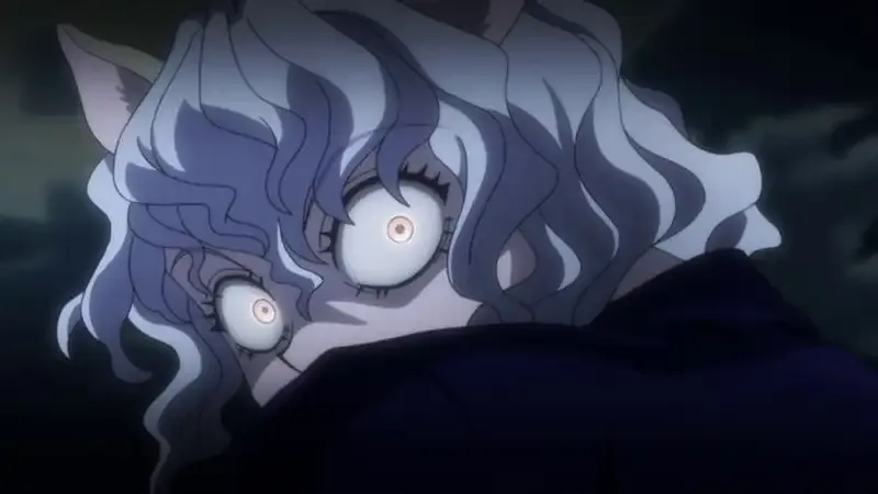 Ảnh Neferpitou 23