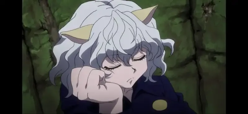Ảnh Neferpitou 24