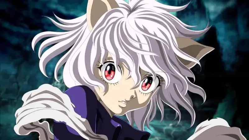 Ảnh Neferpitou 29