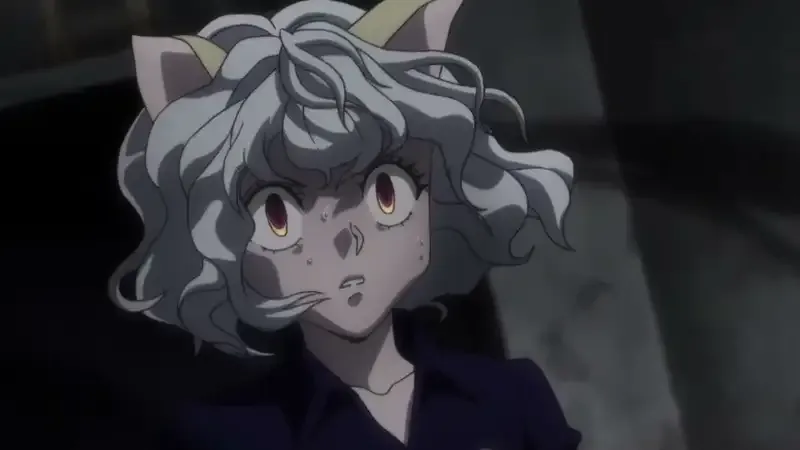 Ảnh Neferpitou 40
