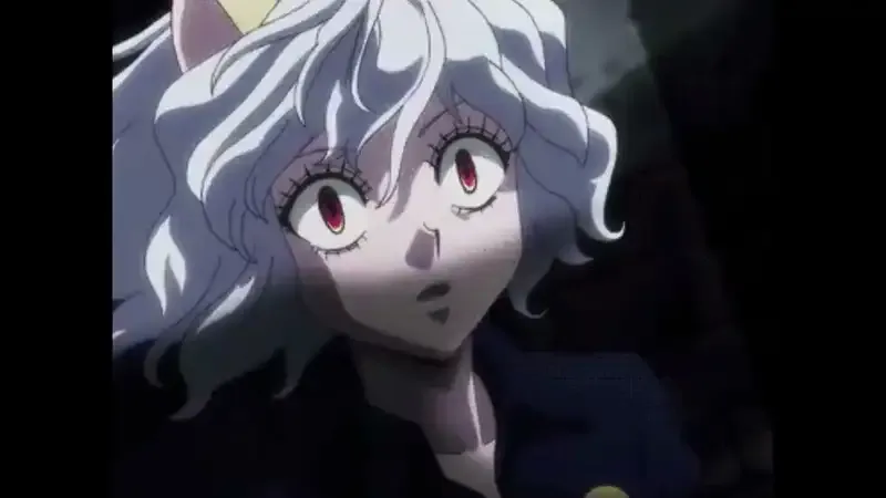 Ảnh Neferpitou 43