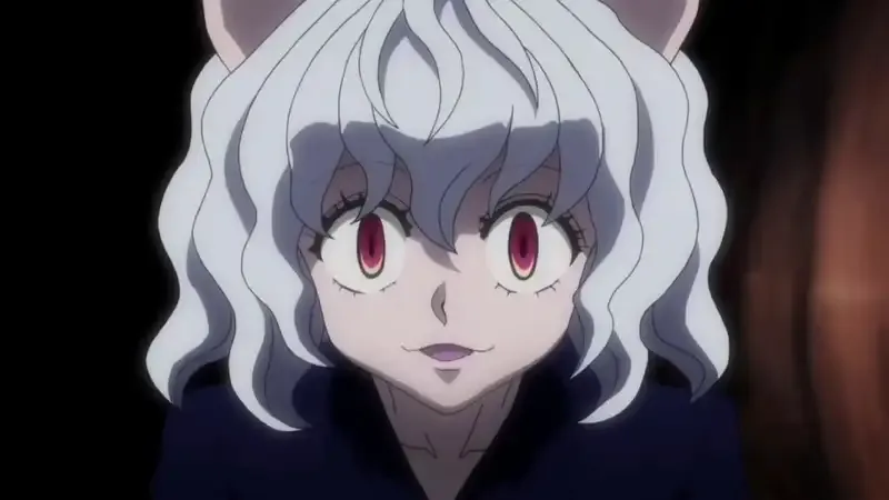 Ảnh Neferpitou 47