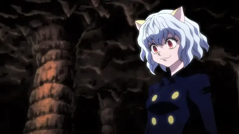 Ảnh Neferpitou 50