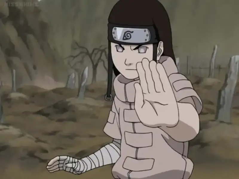 Hình ảnh Neji Hyuga ngầu 11
