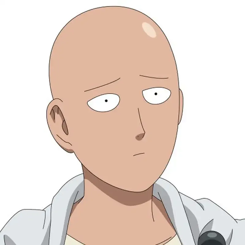 ảnh Saitama 22