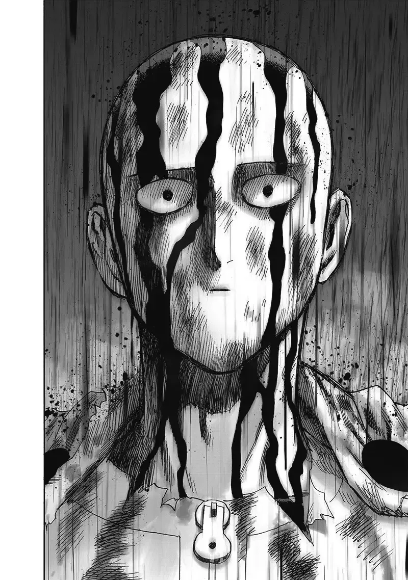 ảnh Saitama 48
