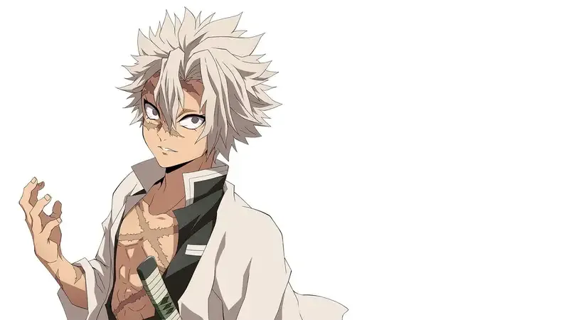 Tổng hợp ảnh Sanemi Shinazugawa ngầu 7