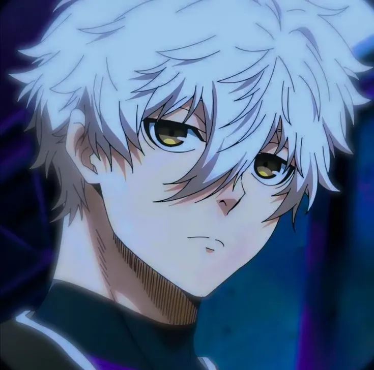Seishiro Nagi 13