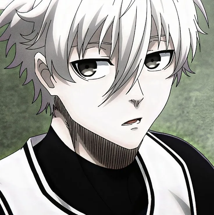 Seishiro Nagi 14