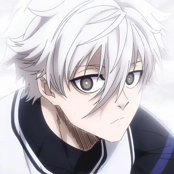 Seishiro Nagi 20