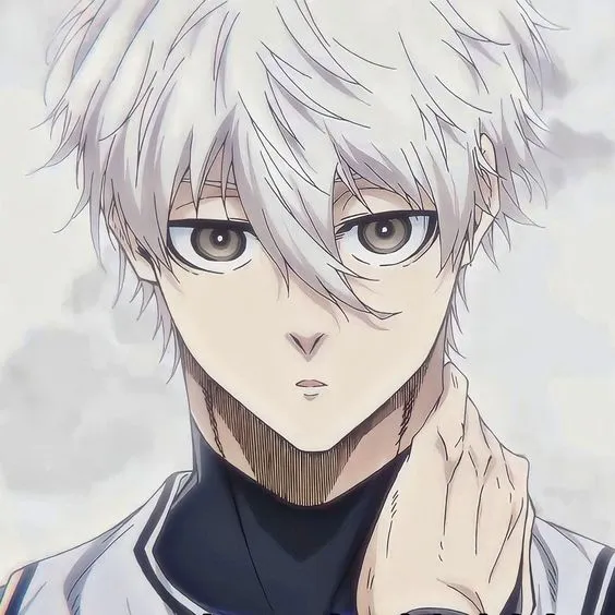 Seishiro Nagi 26