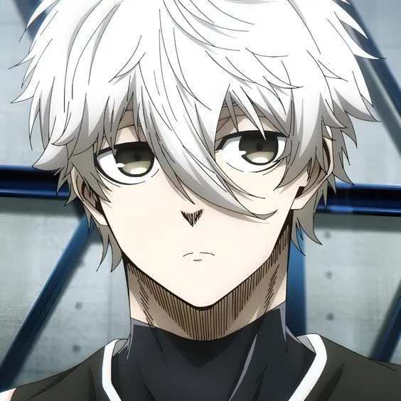 Seishiro Nagi 31