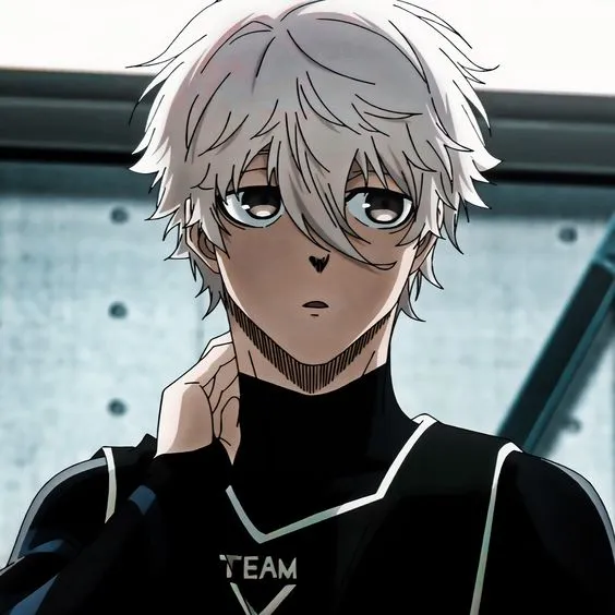 Seishiro Nagi 32