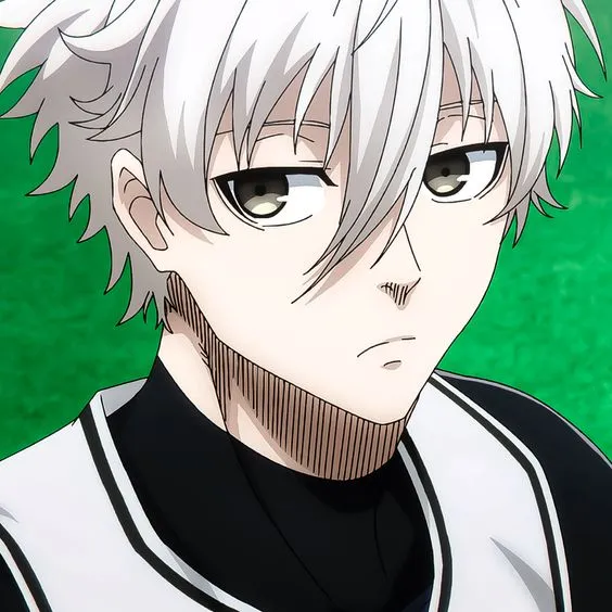 Seishiro Nagi 35