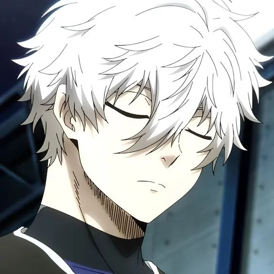 Seishiro Nagi 51