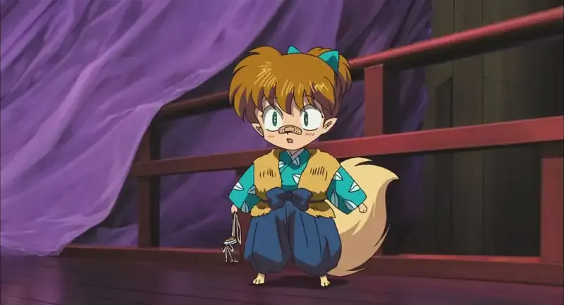 ảnh Shippo 14
