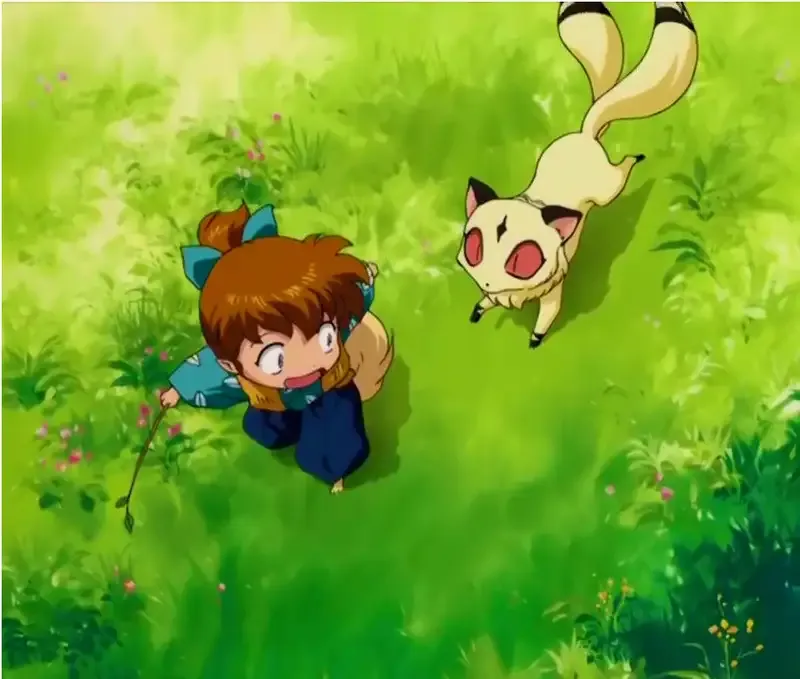 ảnh Shippo 38