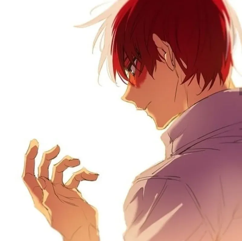 shoto-todoroki-24