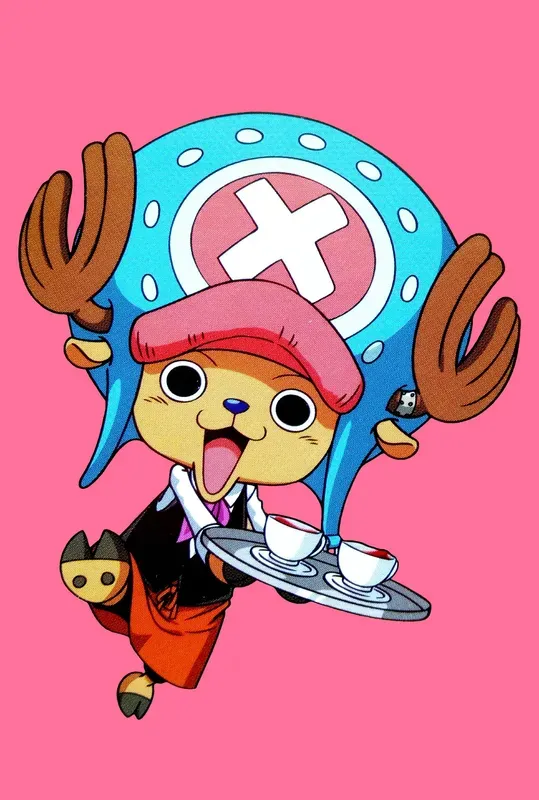 tony tony chopper 14