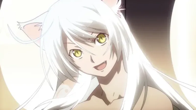 Tsubasa Hanekawa 9