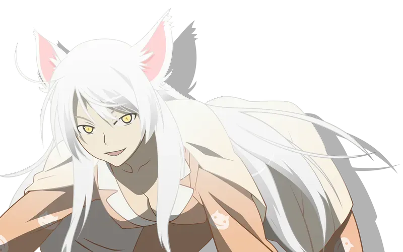 Tsubasa Hanekawa 11