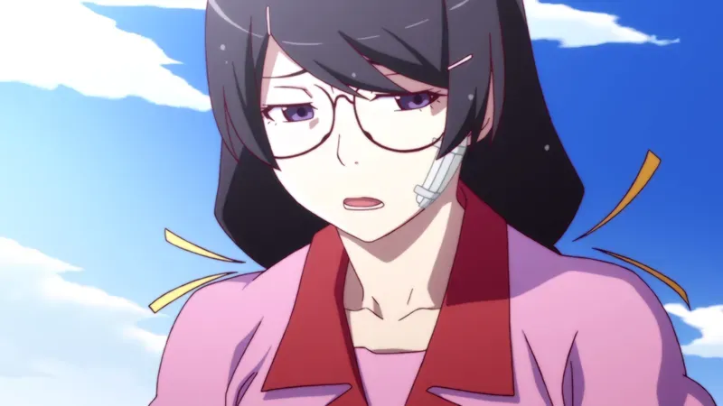 Tsubasa Hanekawa 13